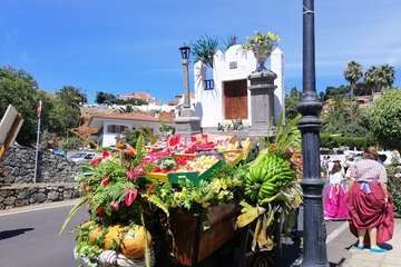 Romería ofrenda a la Virgen del Pino (Foto TA y Antonio Alí)